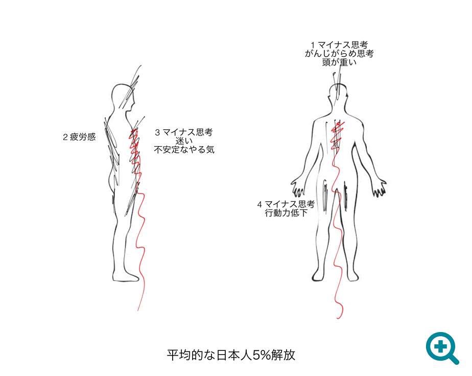 平均的な日本人のエナジーチャート